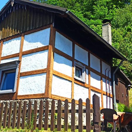 Arode Huette Harzilein - Romantic Tiny House On The Edge Of The Forest Цорге Экстерьер фото