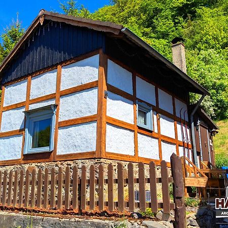 Arode Huette Harzilein - Romantic Tiny House On The Edge Of The Forest Цорге Экстерьер фото