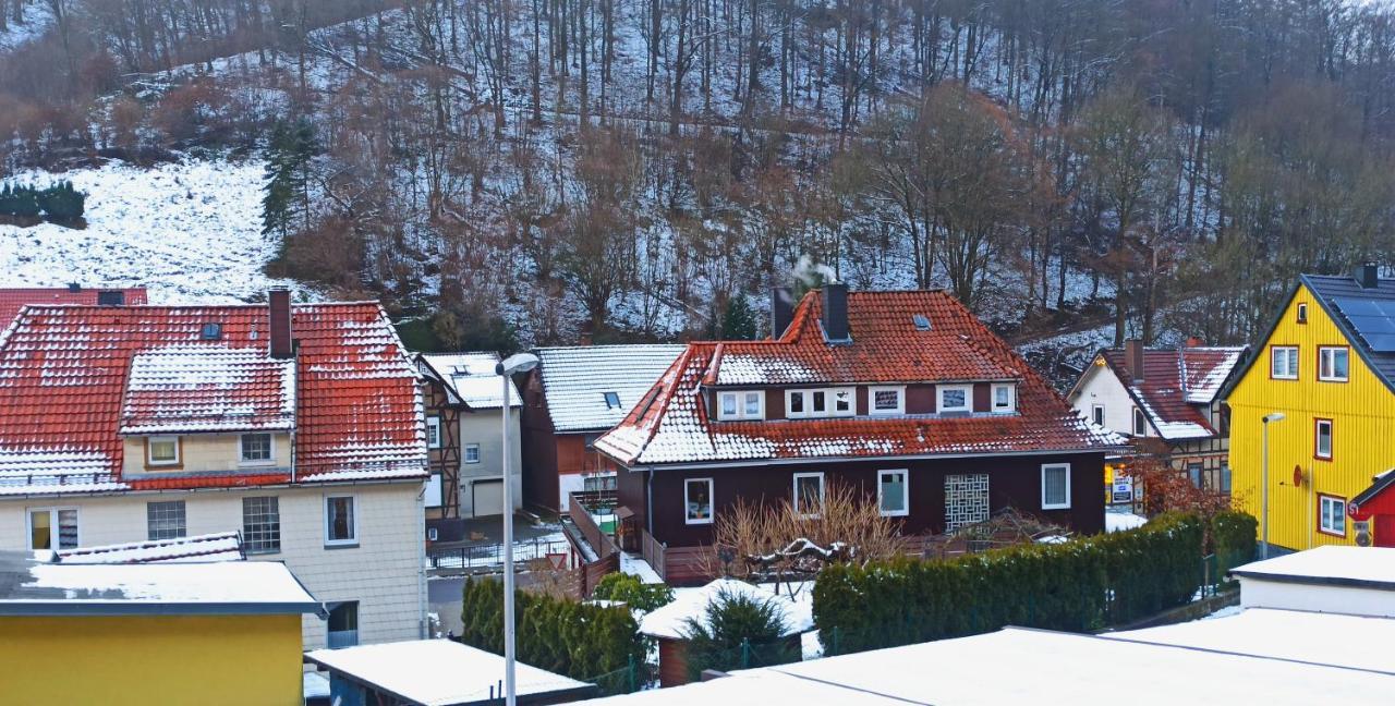 Arode Huette Harzilein - Romantic Tiny House On The Edge Of The Forest Цорге Экстерьер фото