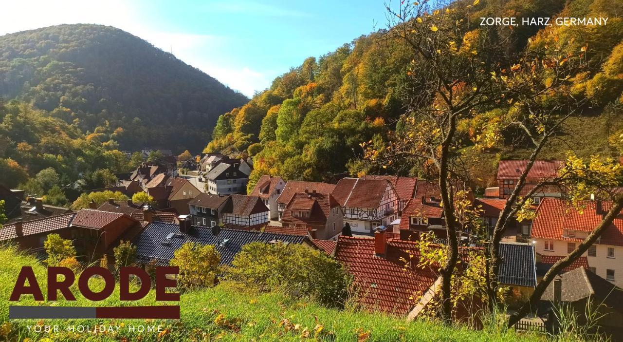 Arode Huette Harzilein - Romantic Tiny House On The Edge Of The Forest Цорге Экстерьер фото